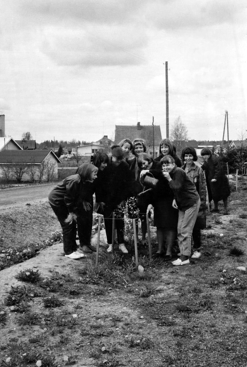 4 C 1964-1965 puun istutus