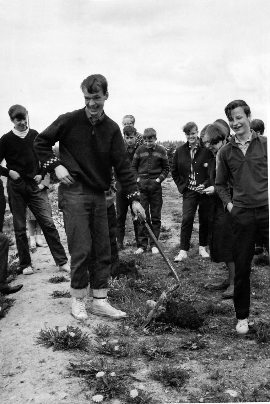 4 C 1964-1965 puun istutus