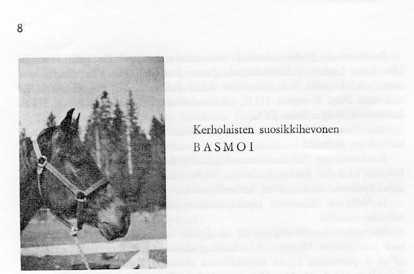 hevoskerhon toiminnasta