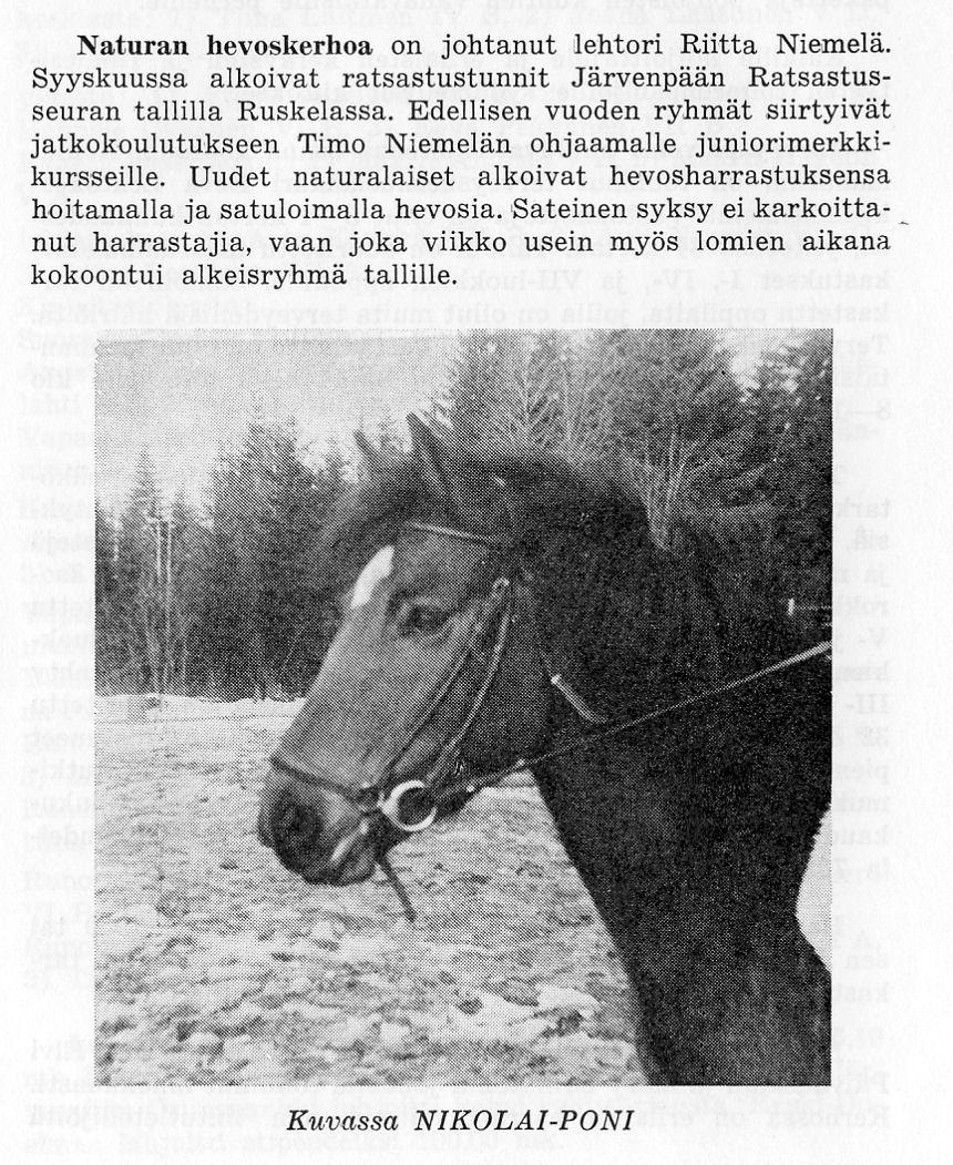 hevoskerhon toiminnasta