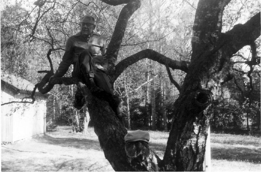 Apina leipäpuussa 1965 retkellä