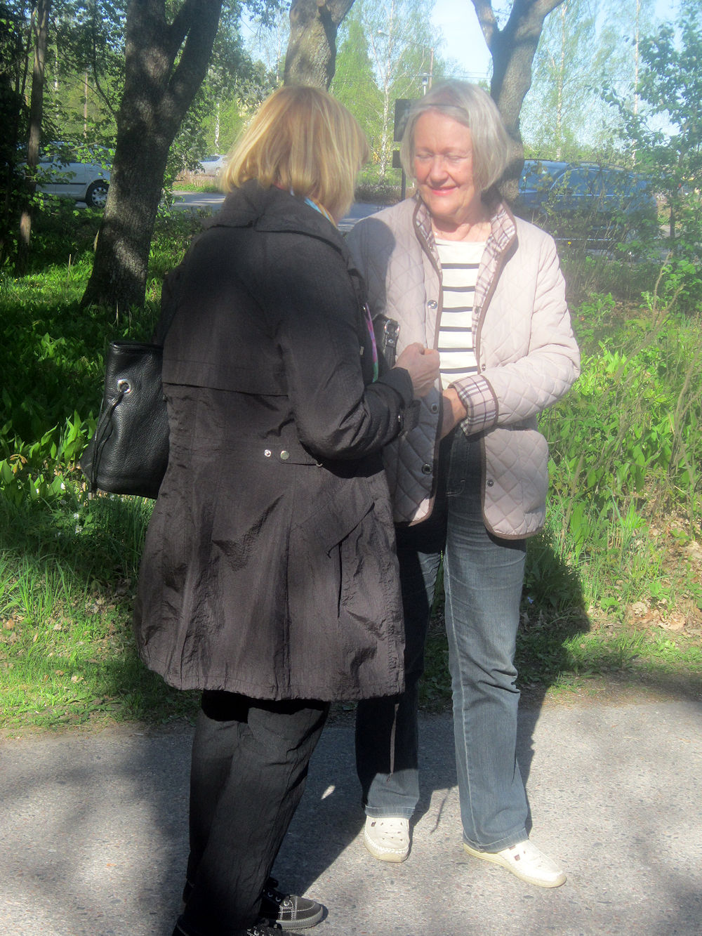 Westermarckin maisemissa